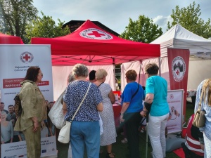 news_2026-05-24_NGO FEST_content (1).jpg